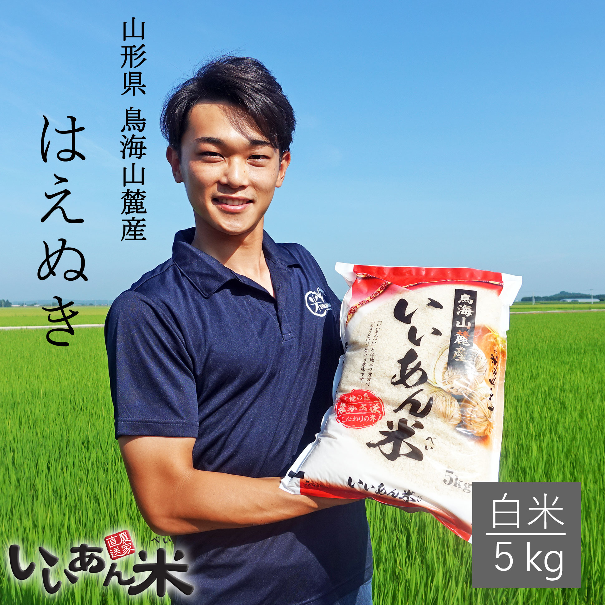 米 はえぬき 白米 5kg 送料無料 安い 山形県産 Aランク 令和4年産 美味しい...