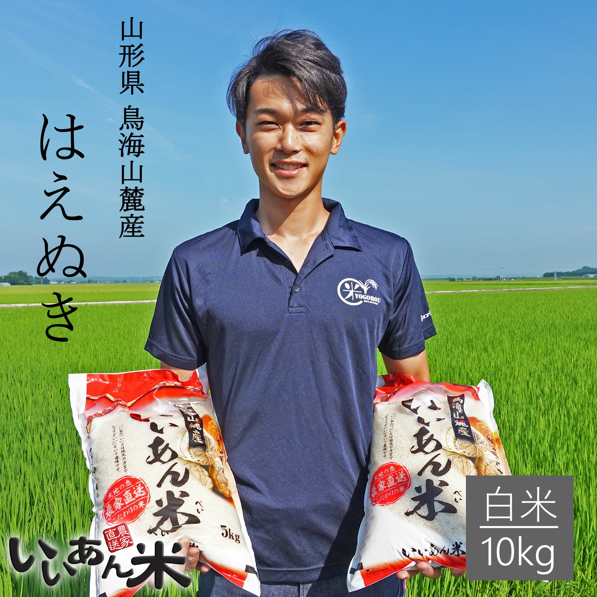 米 はえぬき 白米 10kg 送料無料 安い 山形県産 令和5年産 美味しいお米 い...