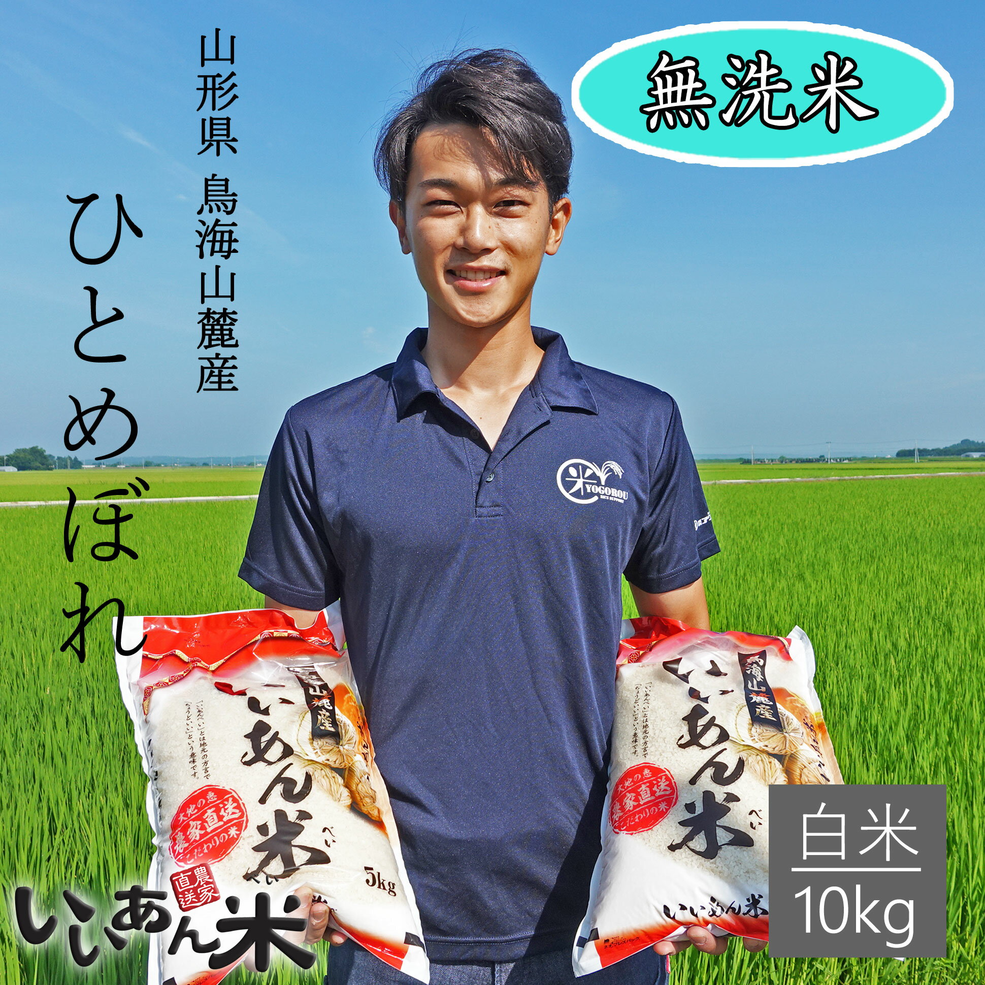 新米 米 お米 10kg 送料無料 5kg×2袋 山形県産 無洗米 白米 ひとめぼれ いいあん米 令和4年産 山形 庄内