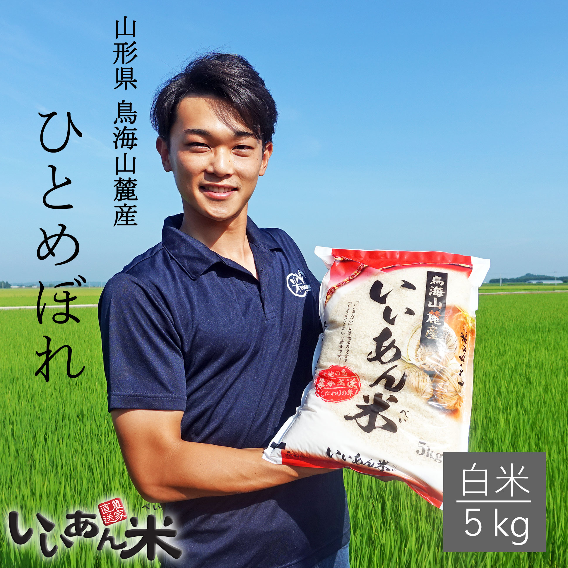 米 ひとめぼれ 白米 5kg 送料無料 安い 山形県産 令和4年産 美味しいお米 いいあん米 山形 庄内 農家直送