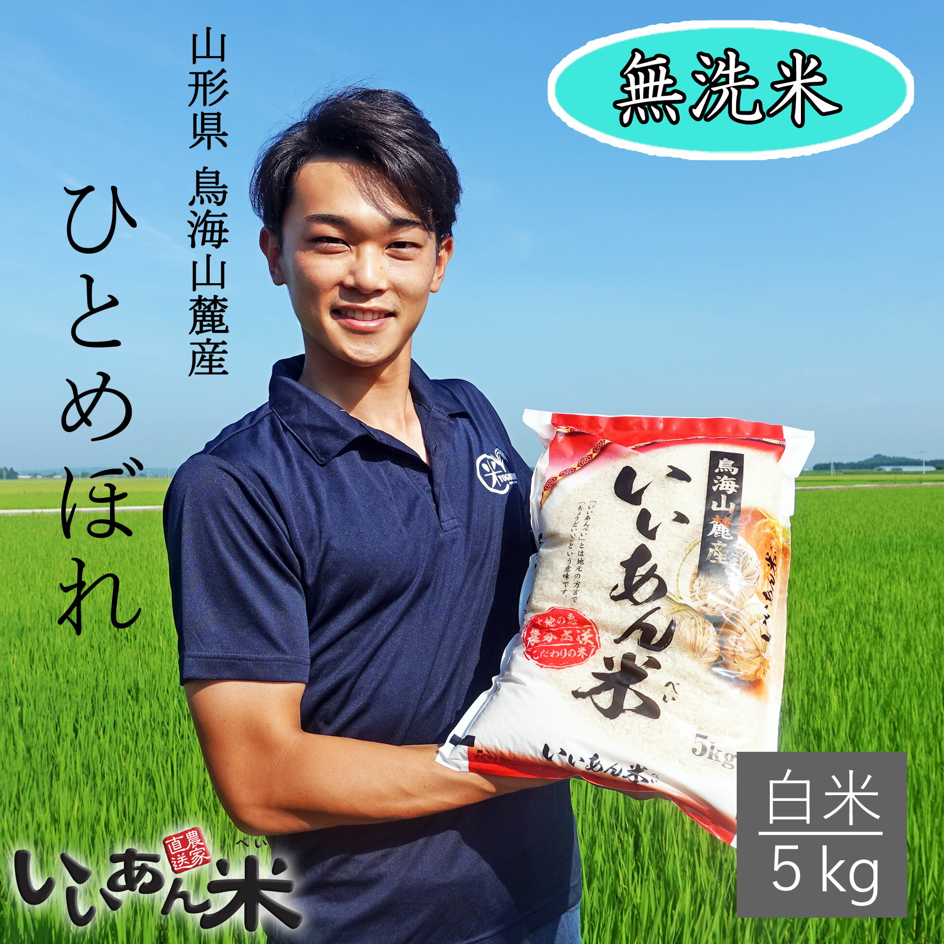 新米 米 お米 5kg 送料無料 山形県産 白米 無洗米 ひとめぼれ いいあん米 令和4年産 山形 庄内