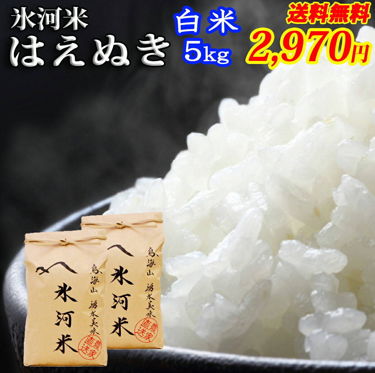 米 お米 5kg 送料無料 白米 はえぬき 令和3年産 庄内産 氷河米 山形 庄内 特別栽培米 農家直送