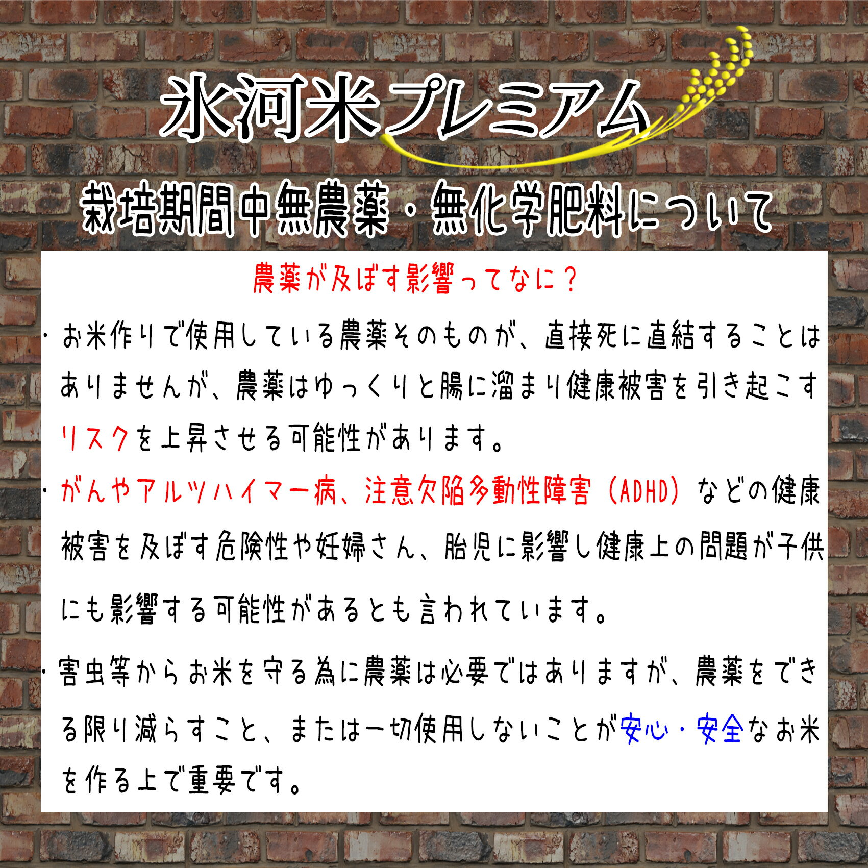 ≪新米予約　令和4年産米≫　化学肥料・農薬不使用 ミルキークイーン 玄米30kg氷河米プレミアム 山形 庄内 農家直送