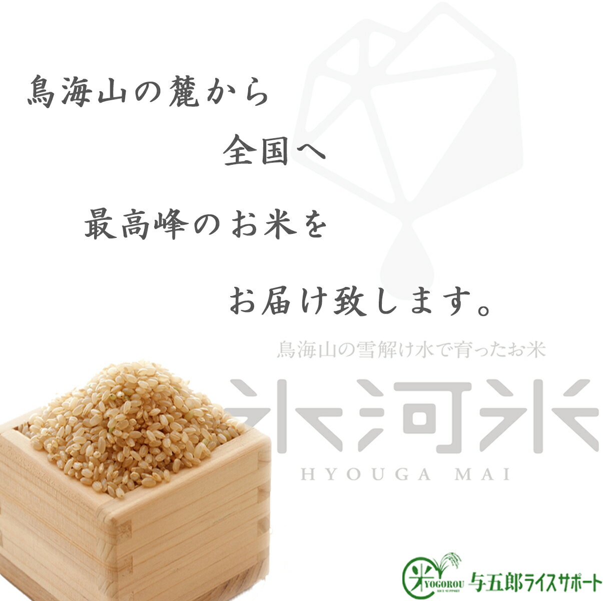 米 お米 20kg 送料無料 5kg×4袋 白米 ミルキークイーン 令和3年産 山形 庄内 氷河米 農家直送