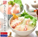 九十九島よか魚のおまかせ海鮮丼(クエだし醤油付き)5食セットギフト よか魚イチオシ プレゼント ギフト あす楽 母の日プレゼント ギフト