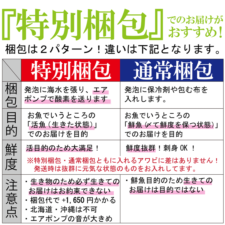 「特別梱包オプション(単品購入不可)」ギフト ...の紹介画像3