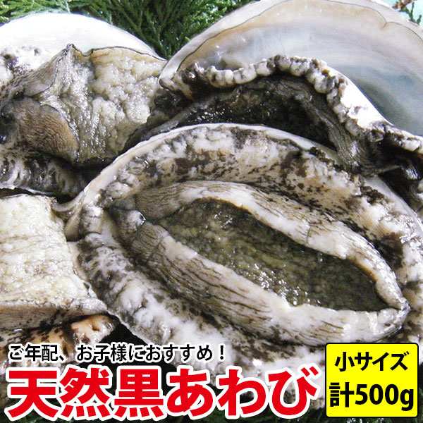 送料無料 天然黒あわび(アワビ)計500g(100g前後)とっても新鮮！だから歯応えがスゴイ！コリコリ食感をお試しあれ！プレゼント お祝い よか鮑 黒アワビ