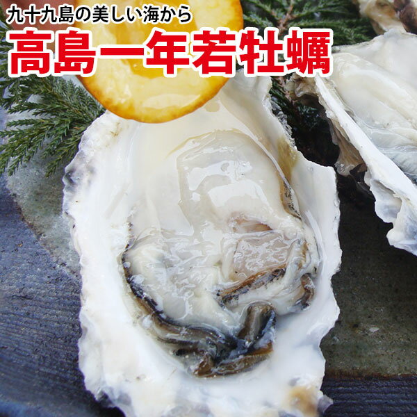 予約受付開始!12月6日よりお届け!高島一年若牡蠣(カキ) 計3kg(30個前後)から計10kg身のギュッと引き締まった濃厚なかき!九十九島 牡蠣 かき 殻付き 生食用 生牡蠣 生ガキ