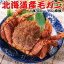 北海道産 毛ガニ(毛蟹)ボイル冷凍300g〜350gサイズ1...