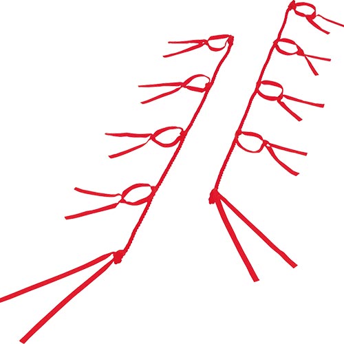 従来のむかで競争のイメージを一新、軽量かつ安全に配慮したフレキシブルロープを採用。転倒事故予防の為、結び紐は切れやすい素材を使用しています。同色2本1組、10人用。 ■商品名 【TOEI LIGHT】トーエイライト むかで用ロープHM10　赤　レッド　運動会 むかで競争 団体競技 xa-b3922r ■メーカートーエイライト ■品番 xa-b3922r ■サイズ1.4cm×315cm/結び紐2cm×50cm ■素材ポリエステル ■その他同色2本1組、10人用 ■原産国台湾