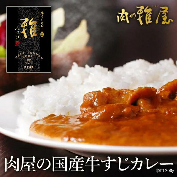 厳選国産「雅屋 牛すじカレー」ビーフ カレー 辛口 食品 お試し ギフト レトルトカレー ご飯のお供