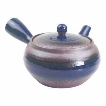 B-7444 急須 2.0号平形(ナマコ巻) 萬古焼