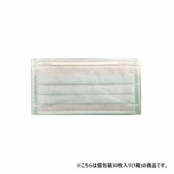 アレルプルーフマスク 日本製 30枚入 7710119