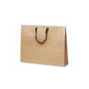 T-ショルダー13手提袋 茶無地 1986 10枚