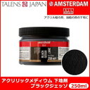 AMSTERDAM アムステルダム アクリリックメディウム 下地剤 ブラックジェッソ 3007 250ml T2417-3007 403689