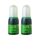 PADICO パジコ UVレジン用着色剤 宝石の雫 10ml 2本セット Green グリーン 403039