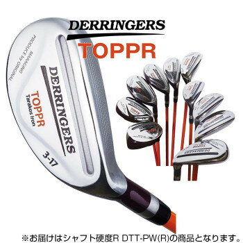 【代引き・同梱不可】 デリンジャートッパ(突破)タラコアイアン PW シャフト硬度R DTT-PW(R)