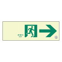 ユニット 通路誘導標識 非常口 右矢印 319-65B