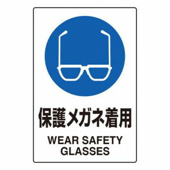 ユニット JIS規格ステッカー保護メガネ着用5枚組 803-40C