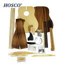HOSCO(ホスコ) 楽器組立キット フォークギターキット マホガニー GR-KIT-D2