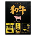 【代引き・同梱不可】 澤井牧場 伊藤牧場 善太 日本三大和牛ビーフカレー (160g×3食)×20個