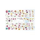 Sha-Nail Pro 写ネイル ネイルシール チューリップB TUB-001