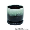 村田屋産業 カラーズポット Black L 1754(4)