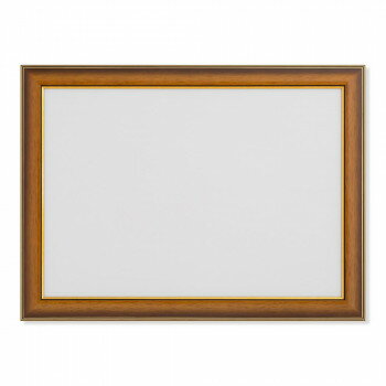 大仙　賞状額　大臣賞　M383　褒章　ナチュラル　32J07100102