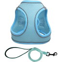 ベスト・アンサー ハーネスリード ブルー L pet-075bll