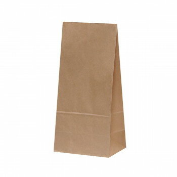 【代引き・同梱不可】 ハイバッグ　H25　未晒　無地 100枚 XZK00391