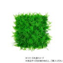 GMシート50x50cm ライトグリーンmix 6100002