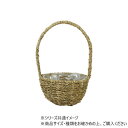 ジュトー手付きナチュラルM 7200132