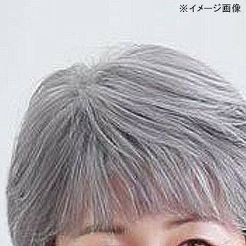 プリシラ オールウィッグ ミセス ミニマムショート A-111 耐熱 TGH・グレイヘア プリシラ オールウィッグ ミセス ミニマムショート A-111 耐熱 TGH・グレイヘア