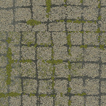 ƱԲġ 󥿡ե ҥ塼ޥ󡦥ͥ󡦥쥯 Moss in Stone 5050cm 20(5m2)...