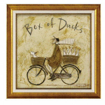 桼ѥ   ȥե ֥ҥ ܥå ST-08130