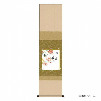 ݡ楻å ƣ λ̾å 31125cm KS2KIC-004