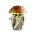 【代引き・同梱不可】 イタリア INAUDI社(イナウディ社) きのこボトル入り乾燥ポルチーニ極選 20g×12個 P6