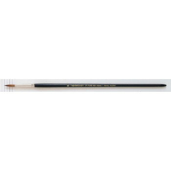 REMBRANDT֥̲ɮ241ԥ奢åɥ֥/饦ɡT909-241-16(16)499309
