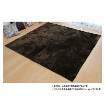 【同梱不可】 ソフトシャギー調ラグ 「ラルジュ」 3畳 ブラウン 約200×250cm 1280200061303