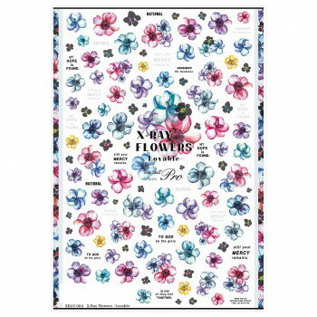 Sha-Nail Pro 写ネイル ネイルシール X-Ray Flowers -Lovable- XRAY-004 Sha-Nail Pro 写ネイル ネイルシール X-Ray Flowers -Lovable- XRAY-004