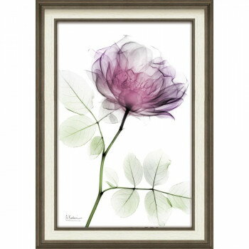 【同梱不可】 ユーパワー X RAY キャンバスアート「ラウンドローズ(M)」 XR-12016