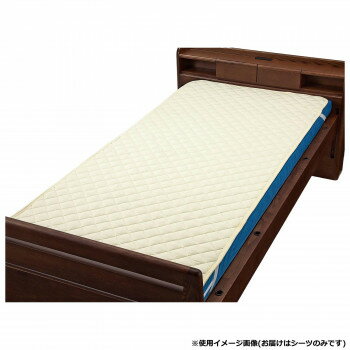 ウェルファン 洗えるベッドパット(綿ポリ) ベージュ Wレギュラー 009466