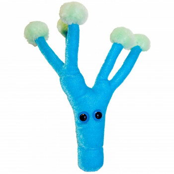 ジャイアントマイクロブス ぬいぐるみ ペニシリン GM054