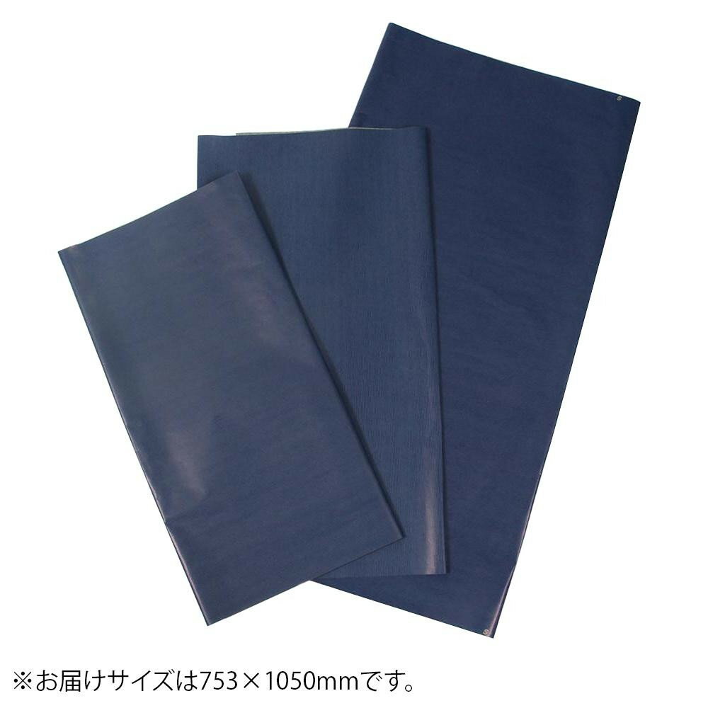 【代引き・同梱不可】パックタケヤマ 包装紙 マリン 四六全判 100枚組 XZT00214