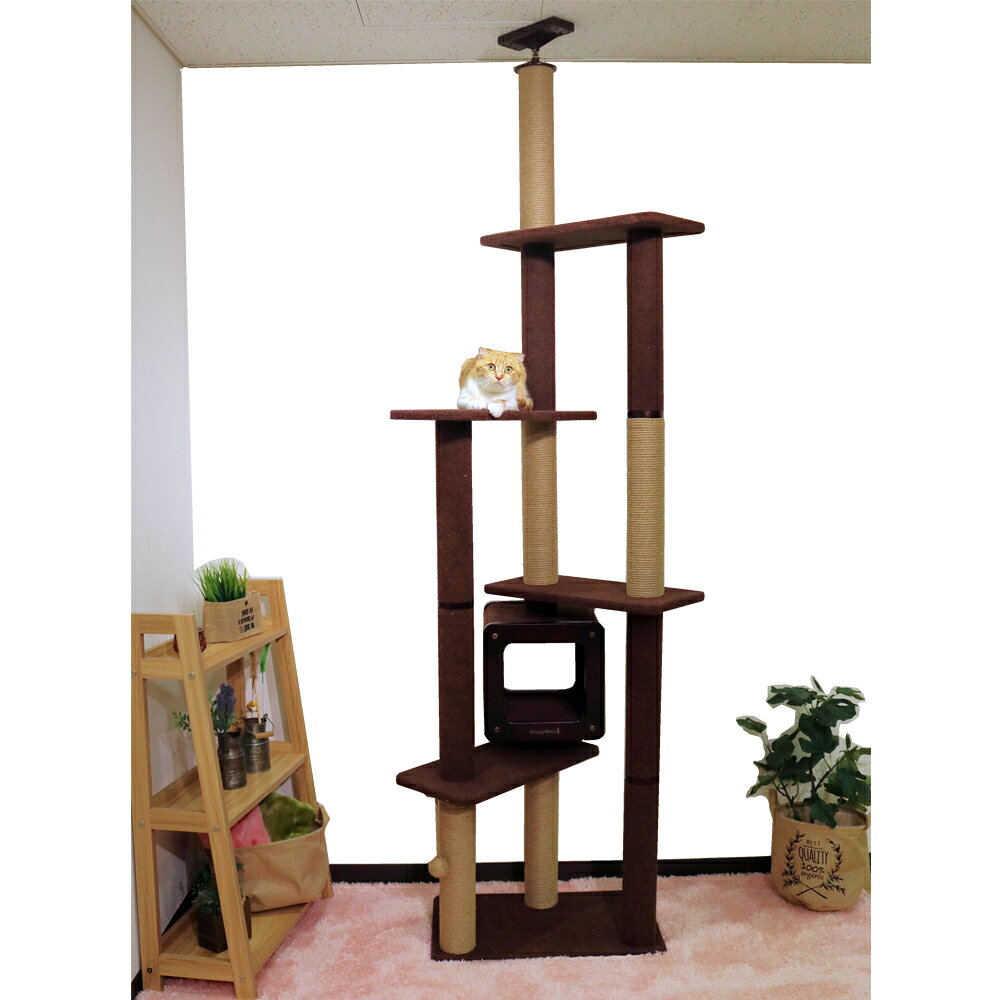 モダンルームスクラッチ タワーダブル