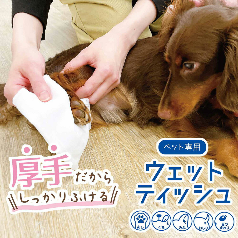 【翌日出荷】ペット専用ウェットティッシュ25枚