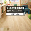 東リ 長尺シート (R) ホスピリュームNW 医療福祉施設用 生地サンプル ナチュラルオーク TS2410~TS2412 引っ越し 新生活