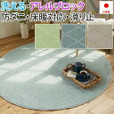 洗える ラグ カーペット マット 北欧 おしゃれ オシャレ デザイン ウォッシャブル アレルブロック 防ダニ ホットカーペット・床暖房対応 遊び毛防止 滑り止め...