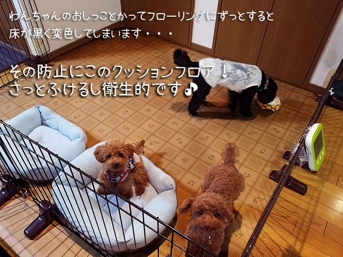 楽天市場 ラグマット ペット用 ダイニングラグ カーペット 消臭 防カビ加工 クッションフロア ラグ 長方形 約1 250cm 防炎 抗菌 日本製 Ces2329ラグ Y あす楽対応 引っ越し 新生活 ラグ カーペット専門店 ゆうあい みんなのレビュー 口コミ 楽天市場 ラグマット ペット用 ダイニングラグ カーペット 消臭 防カビ加工 クッションフロア ラグ 長方形 約1 250cm 防炎 抗菌 日本製 Ces2329ラグ Y あす楽対応 引っ越し 新生活 ラグ カーペット専門店 ゆうあい みんなのレビュー 口コミ