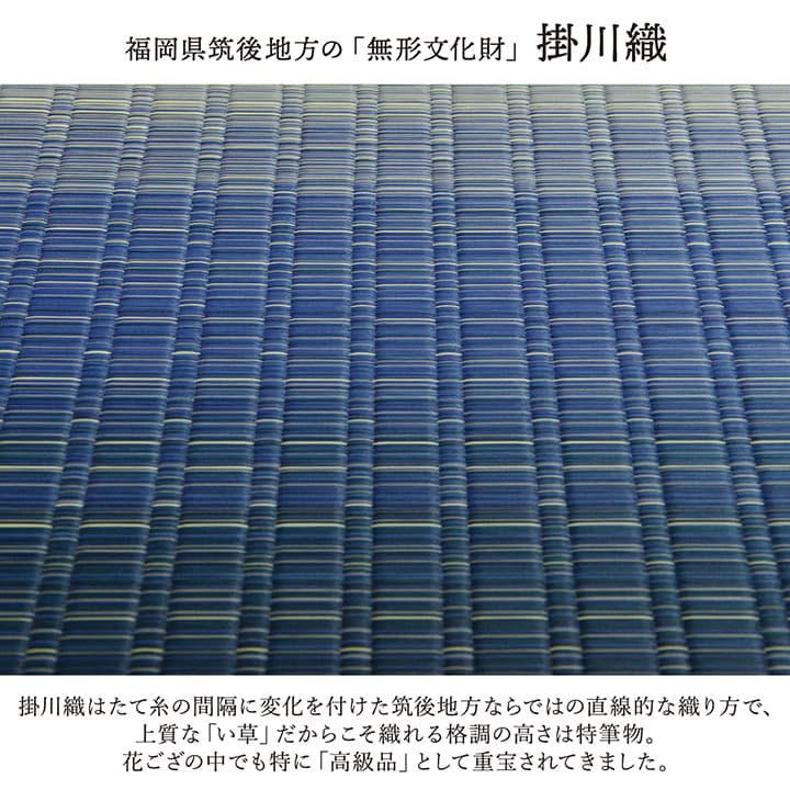大自然 (I) 敷物 花ござ 国産 純国産 日本製 い草 掛川織 モダン 抗菌防臭 自然素材 江戸間8畳 約348×352cm 草原 草原 [2]